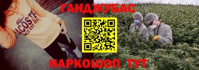 ECSTASY Обь