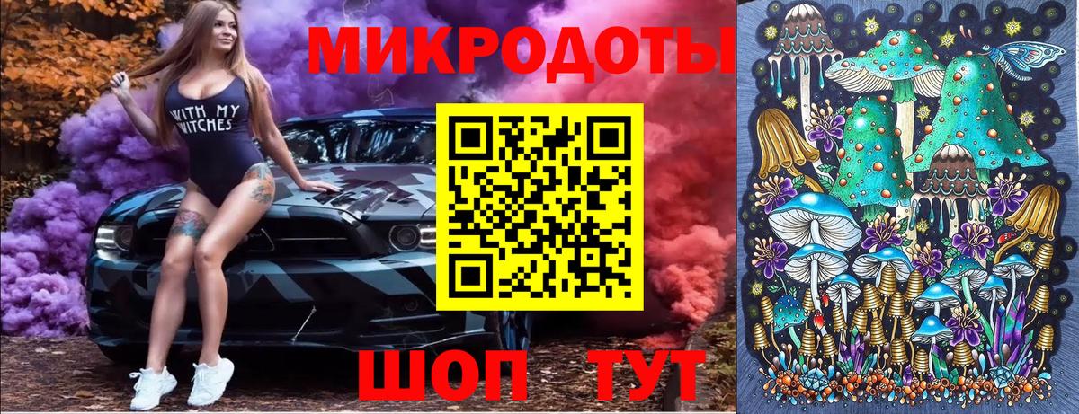Галлюциногенные грибы Psilocybine cubensis Павлово